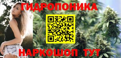 гидра Мариинск