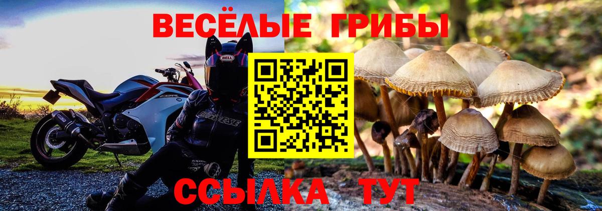 Псилоцибиновые грибы мицелий  Вход с VPN  Киреевск 